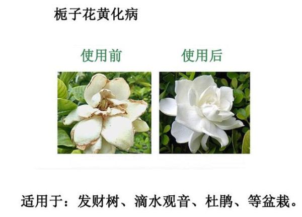 ၆Fa(chn)Sa(chn)|(zh)(yu)r(nng)I(y)၆Fa(chn)SԒ13838587319