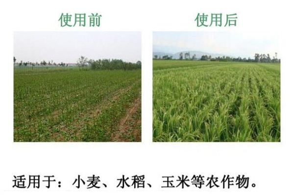 ၆F(lin)ϵԒ13838587319 O(jng)