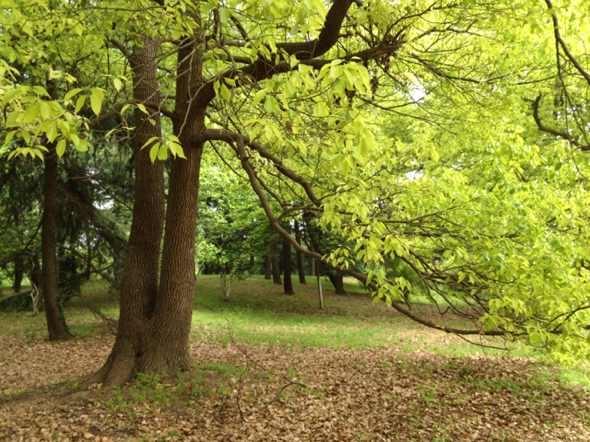 ၆Fֹ~ƬSЧܸܵΣԒ13838587319 O(jng)